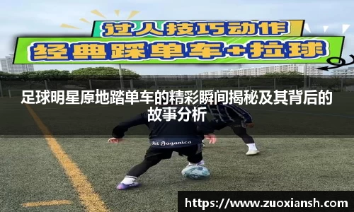 智博19有限公司